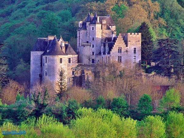 Castelul Fayrac Manor